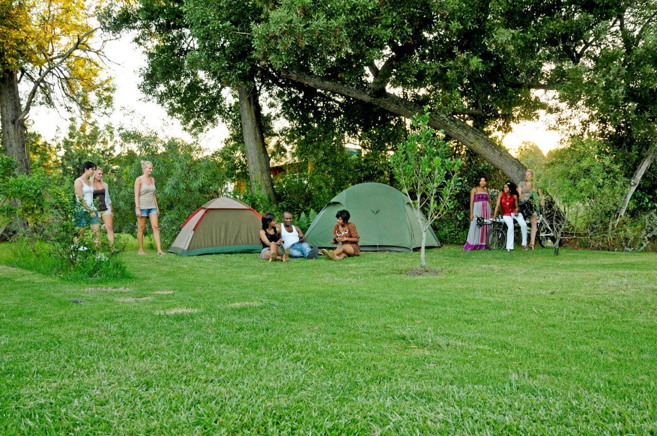 Mali Boutique Lodge & Tube 'N Axe Budget Accommodation 斯托姆勒菲 外观 照片