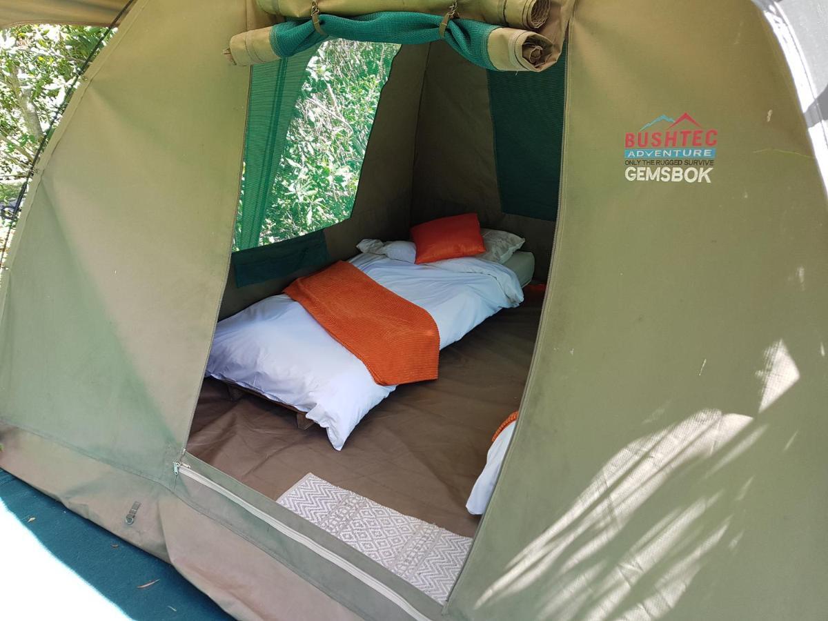 Mali Boutique Lodge & Tube 'N Axe Budget Accommodation 斯托姆勒菲 外观 照片